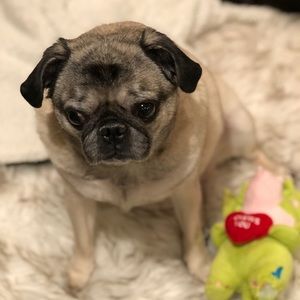 Meet your Posher, Jaimee